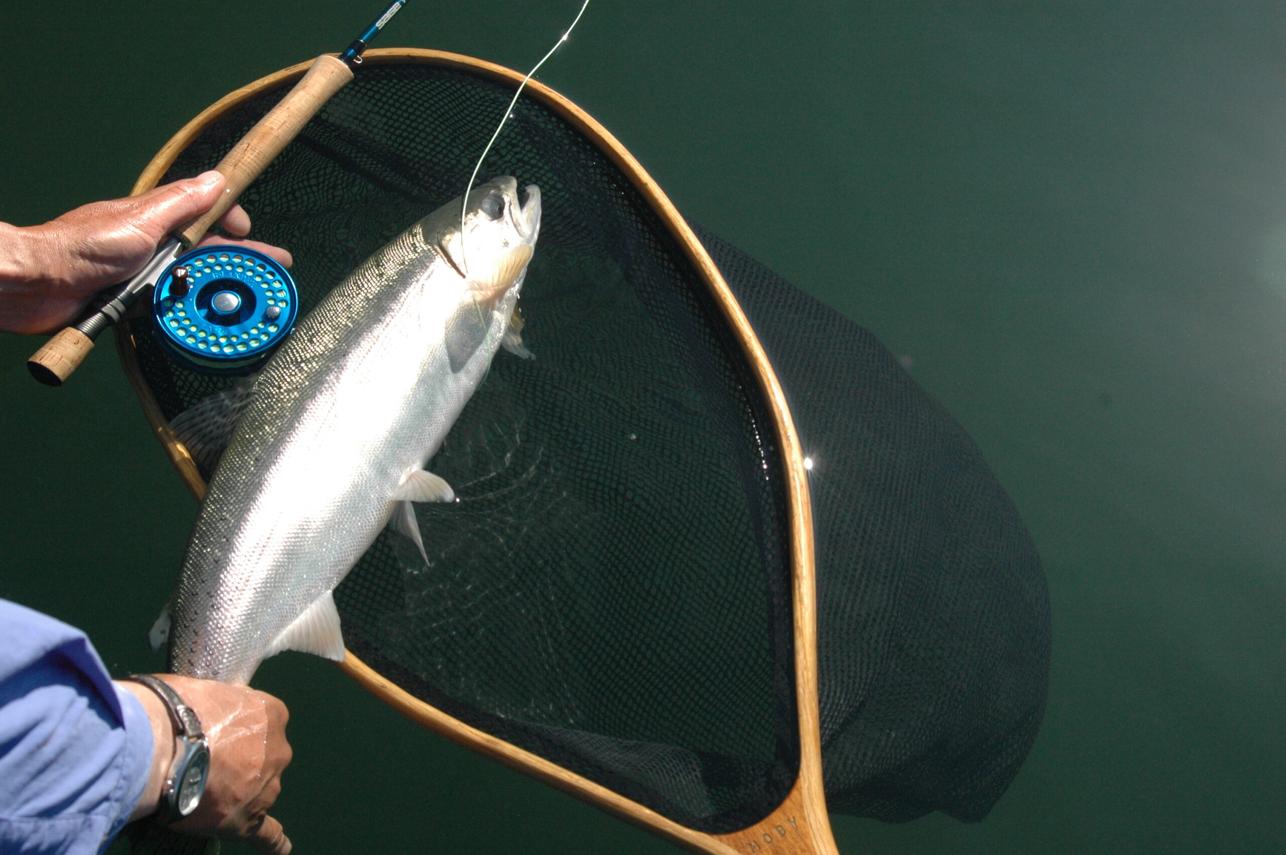 Spring Lake Fishing for Rainbow Trout and Testing the Rod Sprocket - BC  Fishing Journal