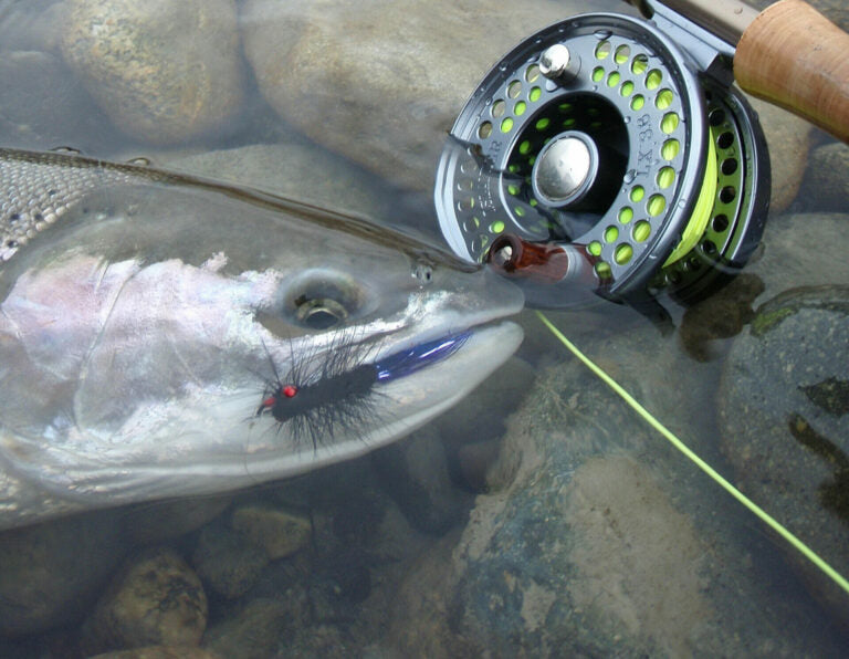 Summer-run Steelhead on the Fly