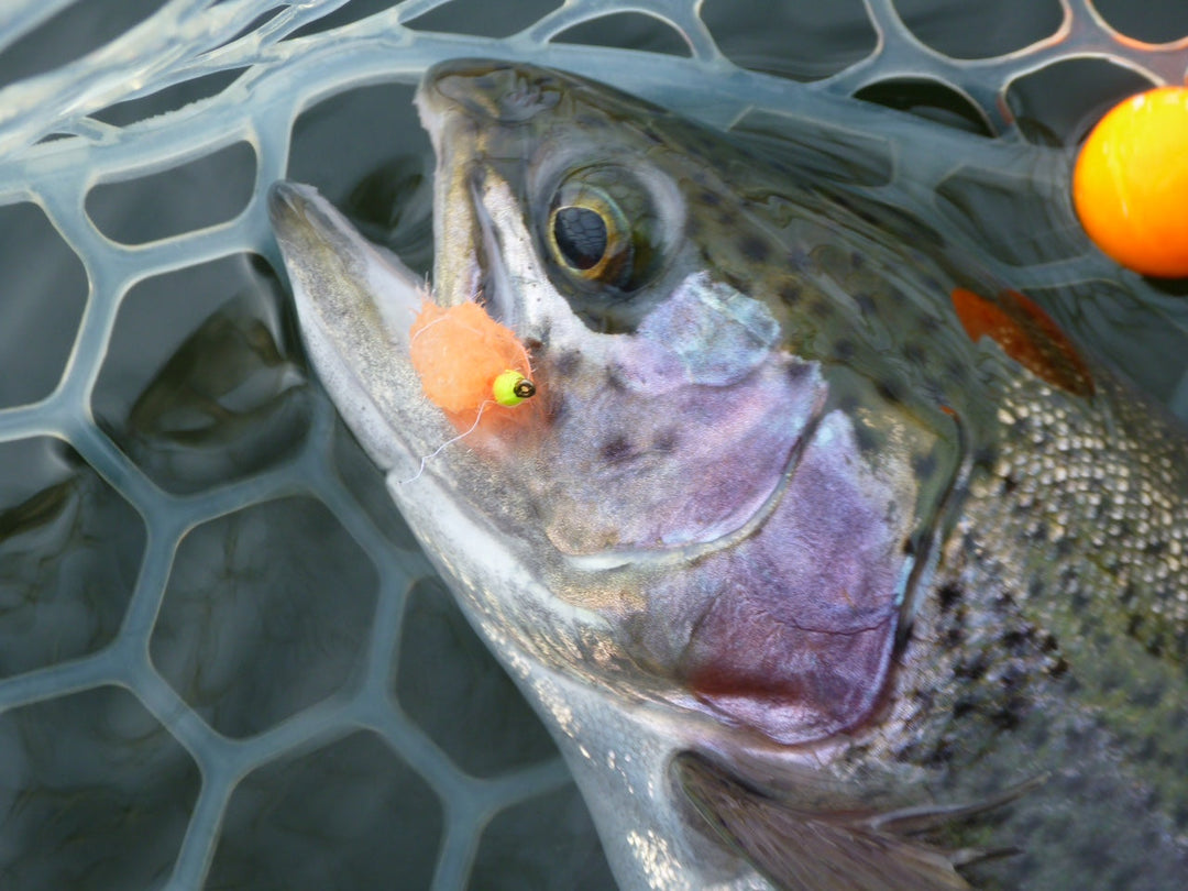 Blobbing for Trout? Yes, it's a Thing