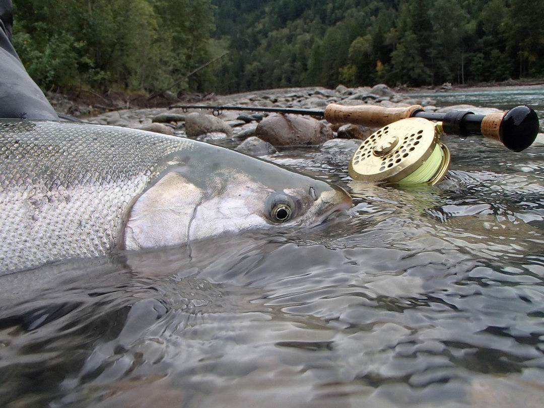 Changing Gears on the Dean River