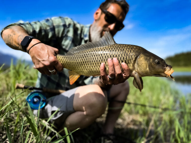 Summer Fly Fishing for Carp