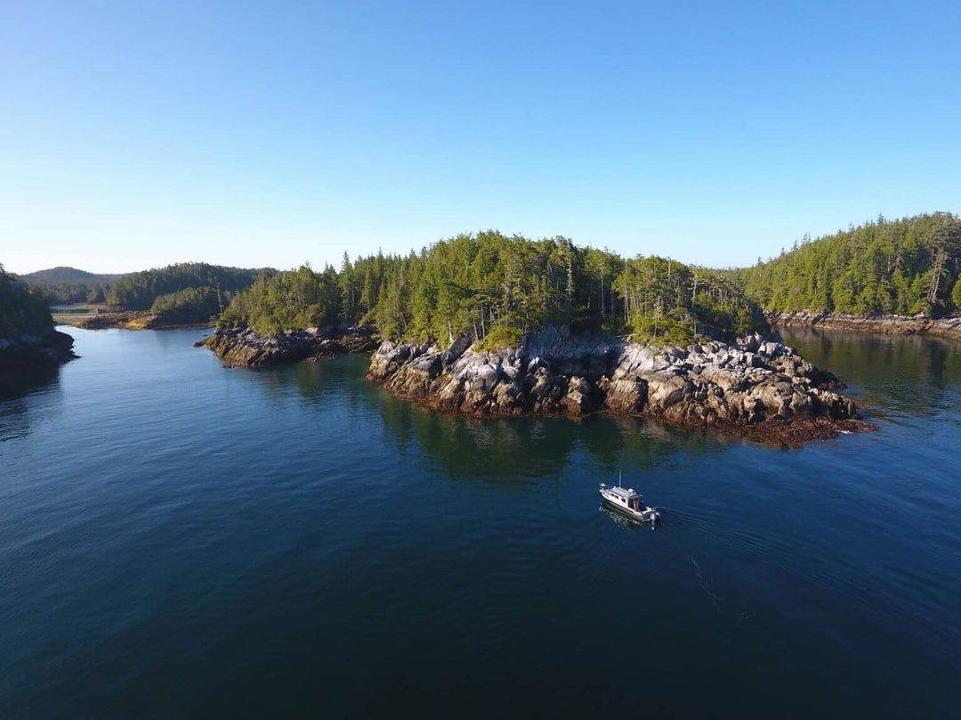 Summer Arrives in Great Bear