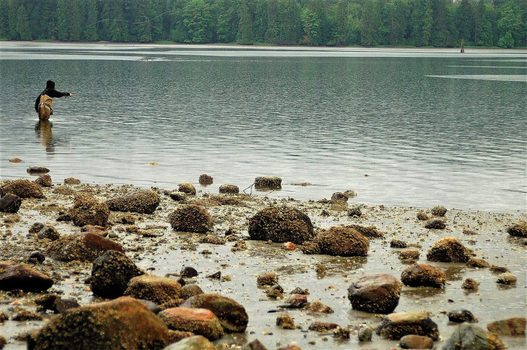 Pursuing Sea-Run Cutthroat Trout