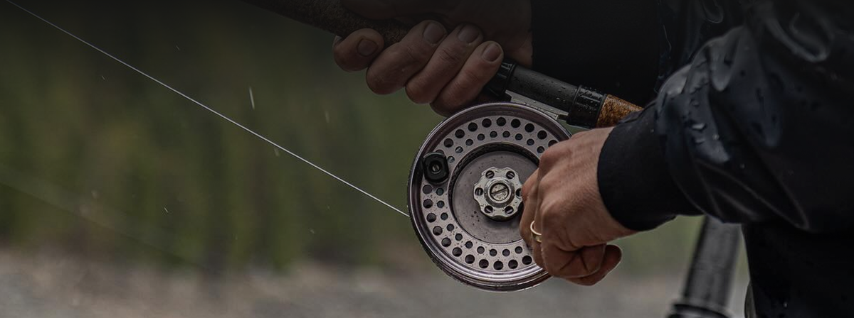 Islander Reels