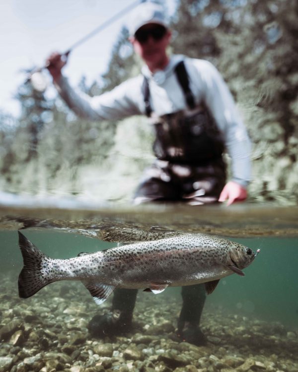 Trout fishing Fly fishing, Euro nymph what a beautiful day