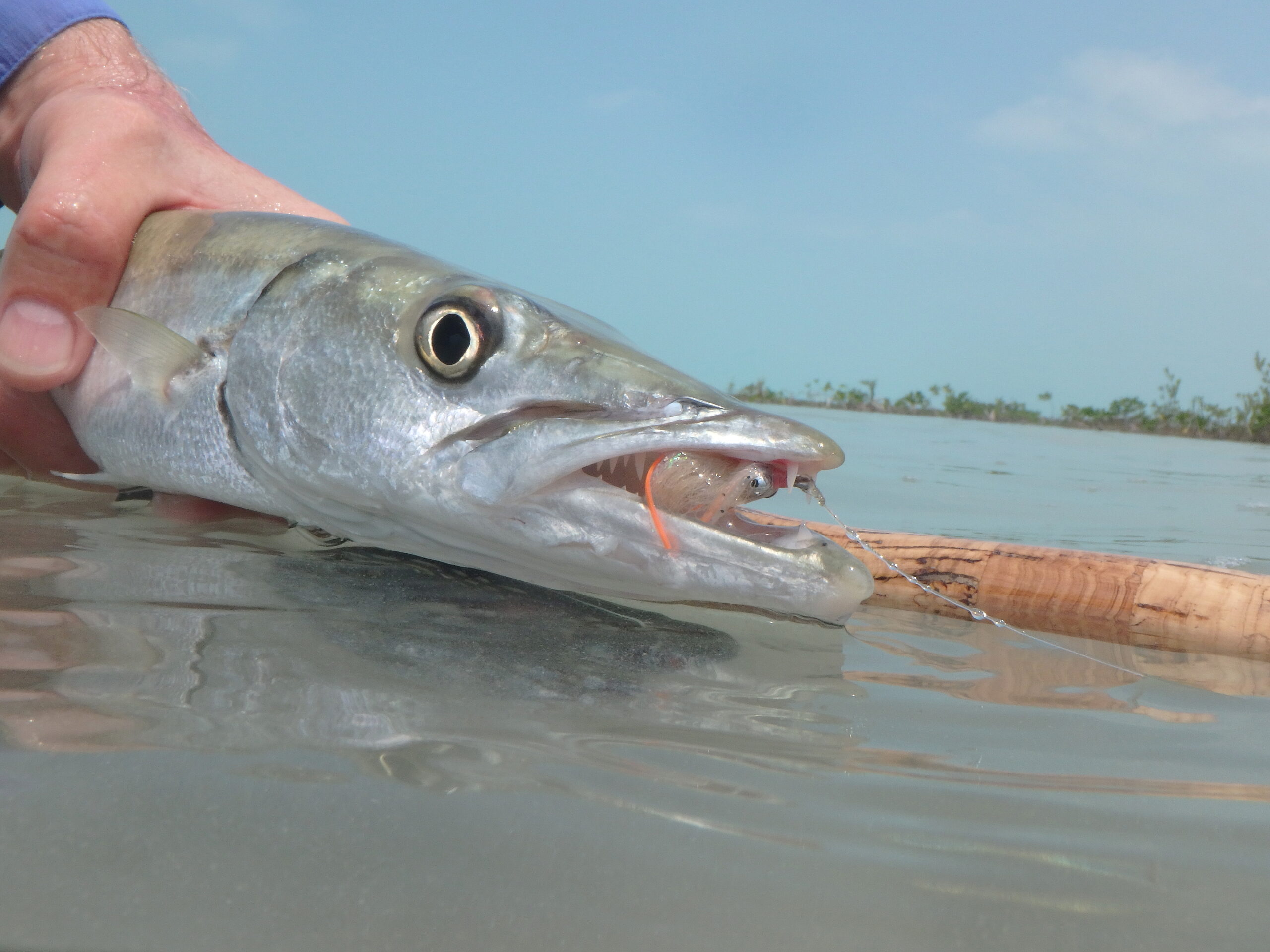 GO GREEN - Fly Colour Can Make a Big Difference – Islander Precision Reels