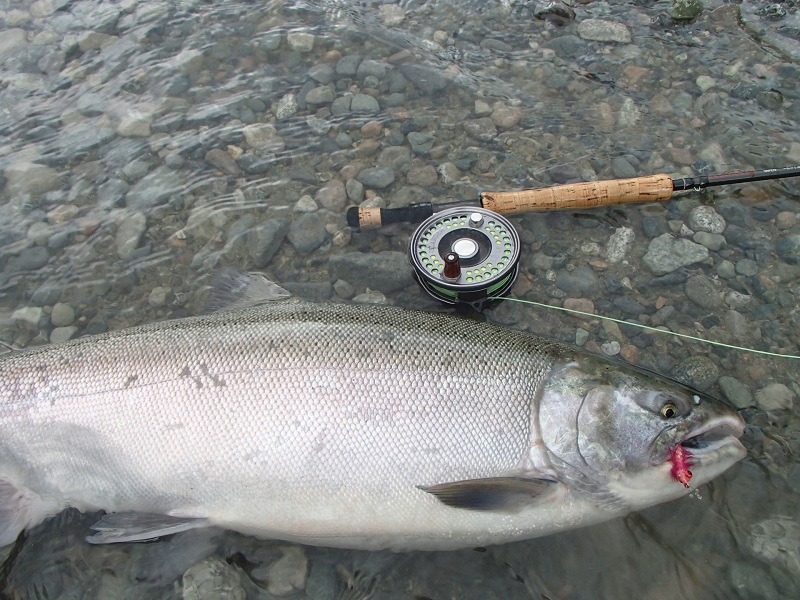 Fishing with the Uribe Riverside M1 Rod 