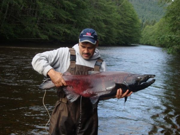 How the Friends of the Yakoun River Keep Haida Gwaii Salmon Strong