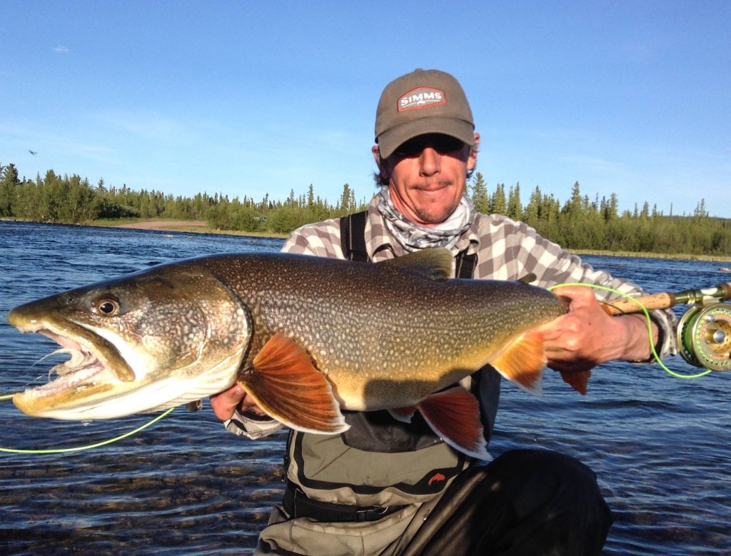 Islander Precision Reels