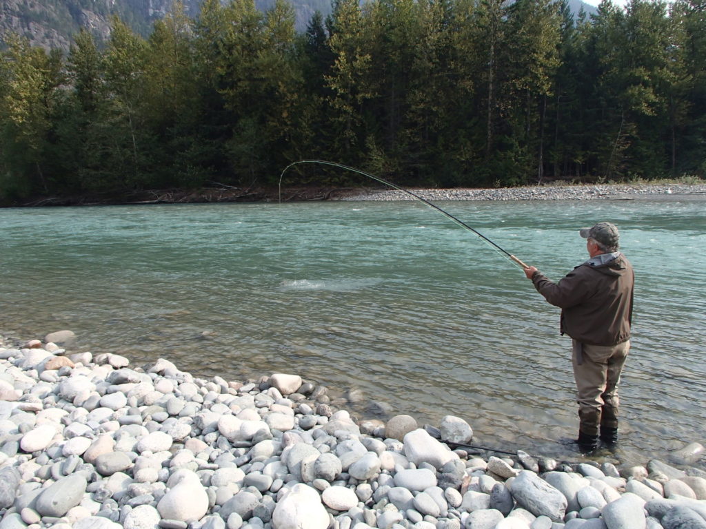 Islander Precision Reels